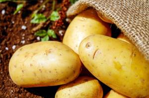 Mit Kartoffel gegen Sodbrennen