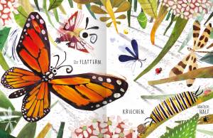 Insekten entdecken – toll illustriertes Kinderbuch.